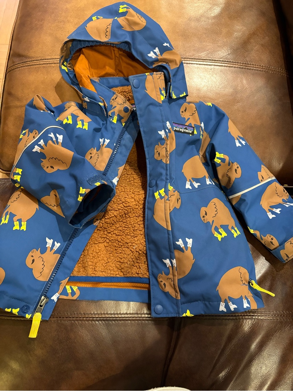 Patagonia Three Seasons 3-in-1 Jacket in Buffalo Blue 2T